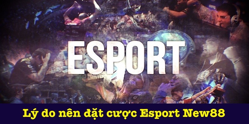 Vì sao nên cược Esport New88?